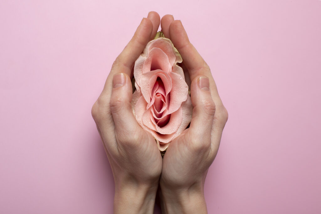 woman-holding-rose-hands-reproductive-system-visualization